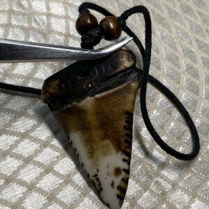 Fossil Shark Tooth Pendant – Miocene–Pliocene, 52mm